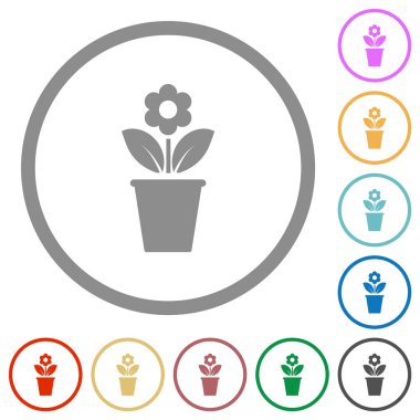 Çiçekli saksı ve beyaz arkaplanda yuvarlak çizgilerde düz renk simgeleri bırakıyor