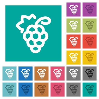 Düz kare arka planlar üzerinde Üzüm çok renkli düz simgeler. Gezinme veya etkin efektler için beyaz ve koyu simge varyasyonları dahil.