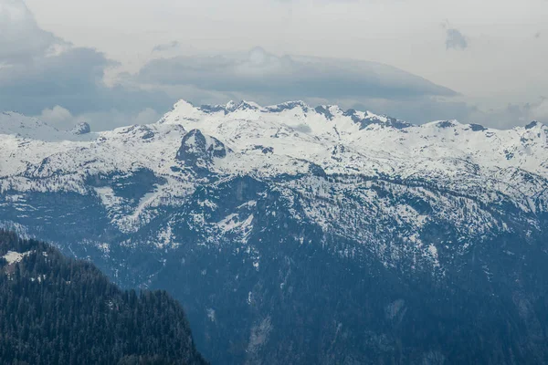 Альпы Австрии Летнем Пейзаже — стоковое фото