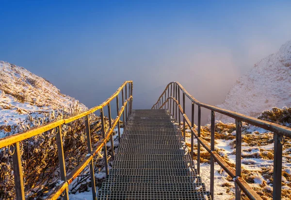 Escaliers Sommet Montagne Avec Brouillard Ceahlau Roumanie — Photo