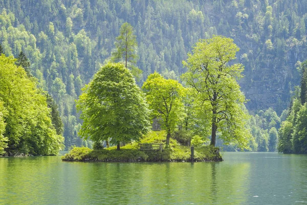 Wyspa Drzewa Nad Jeziorem — Zdjęcie stockowe