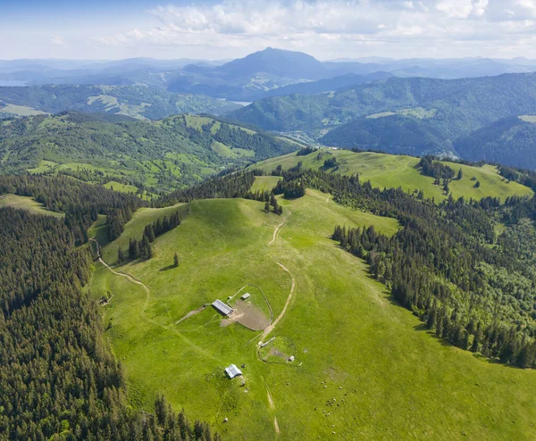 Meadow Pasture Romania Mountain Landscape — Stock Photo, Image