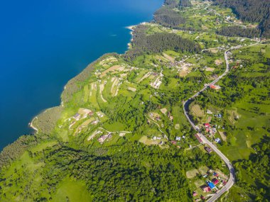 Göl ve yeşil çayır, hava manzaralı. Bicaz, Romanya, yaz sahnesi