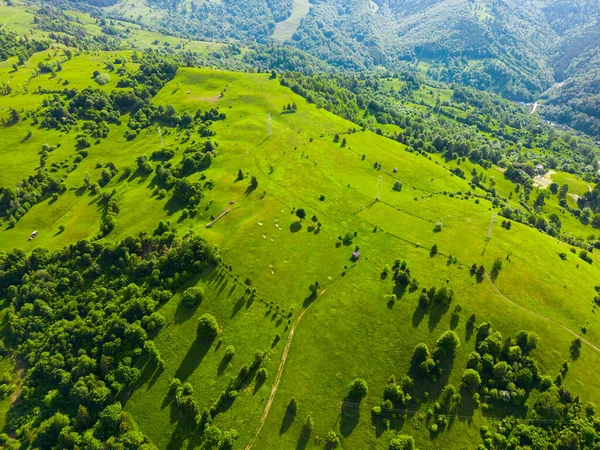 Pajiște Verde Deal Peisaj Vară — Fotografie, imagine de stoc