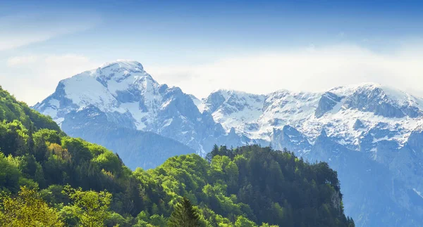 Alpes Alemanha Áustria Cena Verão Com Neve — Fotografia de Stock