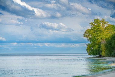 manzara, kumlu sahil ağaçlar ve su, kıyı şeridi