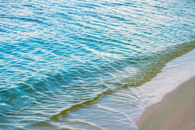 Doğal arka plan, kumlu sahil ve su yakın plan