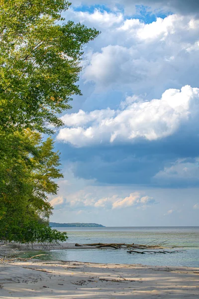 Landscape Sandy Beach Trees Water Coastline — Stock Photo, Image