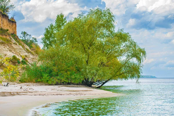 Krajobraz Piaszczysta Plaża Drzewami Wodą Wybrzeże — Zdjęcie stockowe