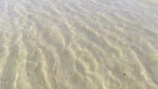 Přírodní Textura Tekoucí Vlny Vodě Pohybující Pozadí Meditativním Hypnotickým Účinkem — Stock video