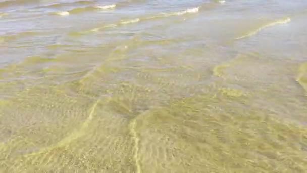 Nature Texture Running Ripple Water Moving Background Meditative Hypnotic Effect — Stock Video