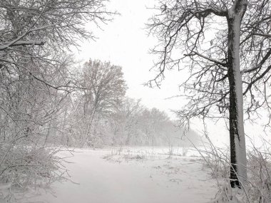Kır kışı manzarası, her yer karla kaplıydı.