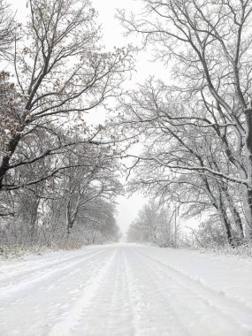 Kır kışı manzarası, her yer karla kaplıydı.