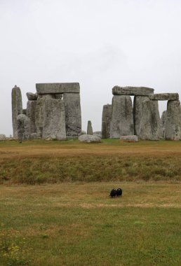 Stonehenge, Salisbury Ovası Wiltshire, İngiltere, Birleşik Krallık