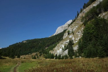 Magliç zirvesi, Dinarik Alpleri, Bosna-Hersek yakınlarındaki Sutjeska Milli Parkı 'nda yürüyüş yolu ve dağ manzarası