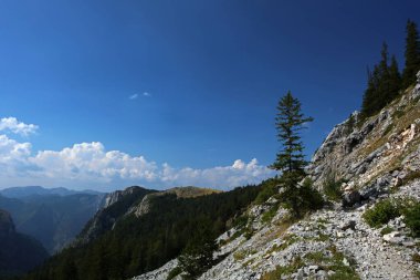 Magliç zirvesi, Dinarik Alpleri, Bosna-Hersek yakınlarındaki Sutjeska Milli Parkı 'nda yürüyüş yolu ve dağ manzarası