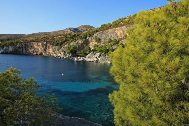 Hırvatistan 'ın Hvar adasındaki Zavala köyündeki sahil ve kıyı şeridi