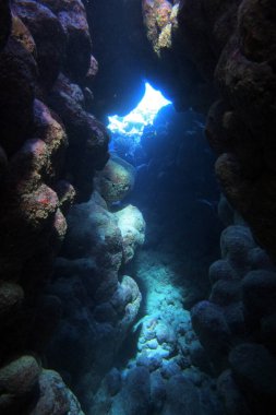 Kızıl Deniz 'deki Fury Shoals yakınlarındaki mercan kayalıkları, Mısır