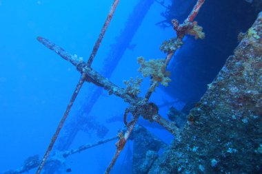 Thistlegorm Kızıl Deniz 'de gemi enkazı, Mısır