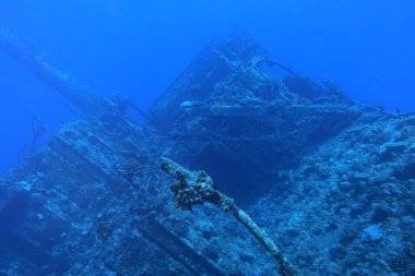 Thistlegorm Kızıl Deniz 'de gemi enkazı, Mısır