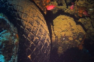 Thistlegorm 'un içindeki eski motosikletler Kızıl Deniz' de, Mısır 'da gemi enkazı