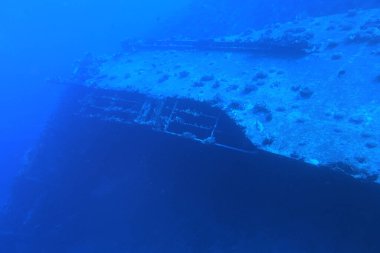 Thistlegorm Kızıl Deniz 'de gemi enkazı, Mısır