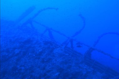 Mısır 'daki Big Brother Adası yakınlarındaki Kızıl Deniz' de Numidia gemi enkazı.