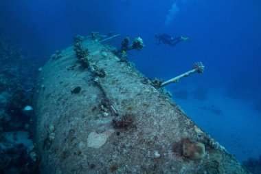 Mısır, Kızıldeniz 'deki Abu Galawa dalış alanı yakınlarındaki yelkenli yatı enkazı.