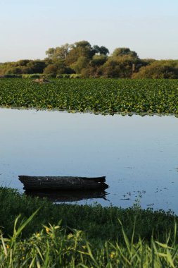 Lac de Grand Lieu, Loire Vadisi, Brittany, Fransa 'daki tahta tekne.