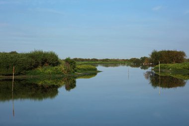 Lac de Grand Lieu, Loire Vadisi, Brittany, Fransa