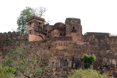 Ranthambore Kalesi Sawai Madhopur yakınlarında Ranthambore Ulusal Parkı, Hindistan