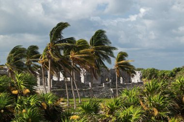 Büyük Efendi 'nin Sarayı - Meksika, Tulum' daki arkeolojik alanda Maya harabeleri