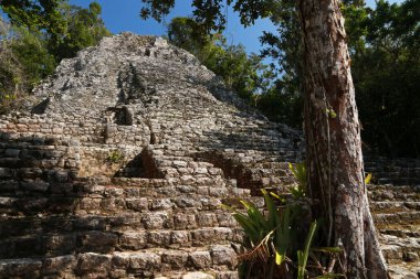 La Iglesia piramidi, Coba kompleksi, Yucatan, Meksika