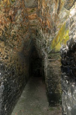 La Iglesia piramidi, Coba kompleksi, Yucatan, Meksika
