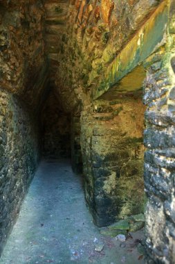 La Iglesia piramidi, Coba kompleksi, Yucatan, Meksika