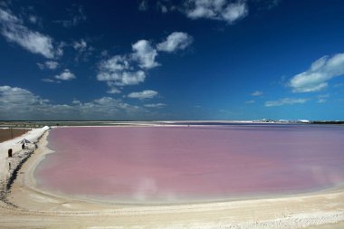 Laguna Rosa Las Coloradas 'a yakın, Yucatan, Meksika