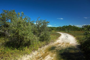 Rio Lagartos Biyosfer Rezervi, Yucatan, Meksika