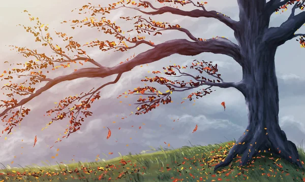 Strom Padajícím Podzimním Listnatým Listím Stojí Travnatém Pahorku Zapadající Oblohou — Stock fotografie