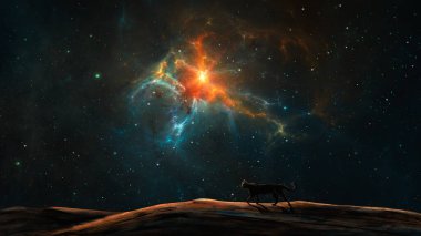 Uzay arkaplanı. Kedi silueti renkli fraktal mavi ve turuncu nebula ve yıldız tarlasıyla tepede yürüyor. 3B görüntüleme