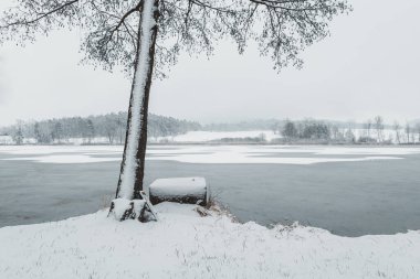 Water gate with tree on pond shore in winter czech landscape. Calm reflection scene