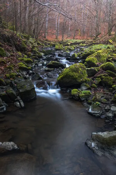 Flusso Con Pietra Muschio Nella Foresta Lunga Esposizione Paesaggio Ceco — Foto Stock