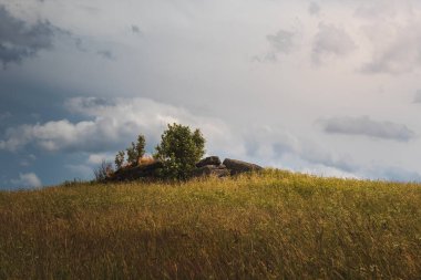 Taş tepeli ve güzel gökyüzü olan çayır. Çek manzarası, Sumava Ulusal Parkı 