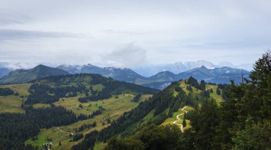 Alps Dağ Vadisi 'ndeki Meadow Hill' de sis var. Avusturya manzara arka planı
