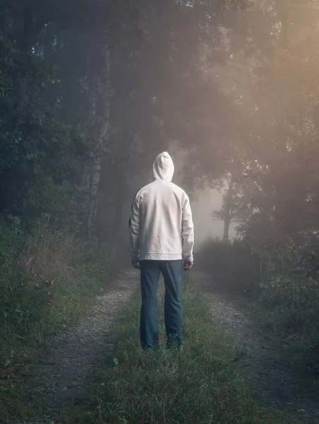 Young Man White Hoodie Pants Walking Misty Fog Forest Back — Stock Photo, Image