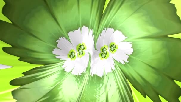 Textura Fractal Abstracta Del Patrón Flor Que Fluye Blanco Animación — Vídeos de Stock