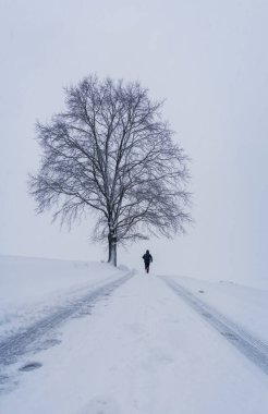 Ceketli genç adam kış yolunda kar ve büyük bir ağaçla koşuyor. Çek manzarası, spor geçmişi