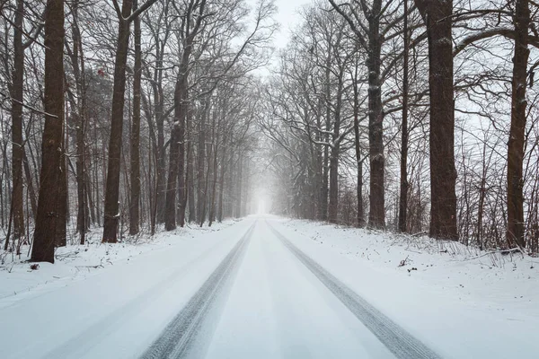 Road Forest Fresh Snow Winter Storm Czech Landscape Transportation Background — Stock Photo, Image
