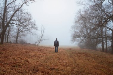 Sırt çantalı, ceketli genç adam sabah sisinde orman yolunda yürüyor. Çek manzarası, seyahat, rahatlama konsepti