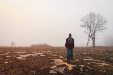 Ceketli genç bir adam ve sırt çantalı bir pantolon sabah sisinde taştan bir arazide yürüyor. Çek manzarası, seyahat, rahatlama konsepti