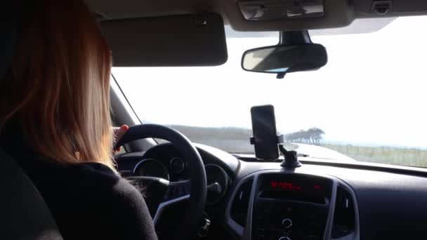 Молода Жінка Їде Машині Лісовій Дорозі Навігацією Транспорт Дорога Відпочинку — стокове відео